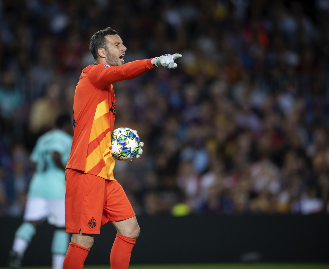 这不仅是他 这不仅是他