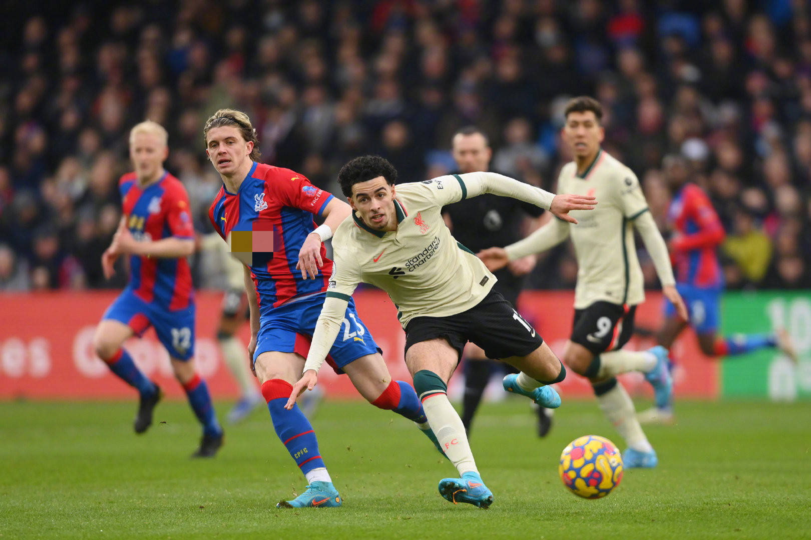 凯尔特人未 凯尔特人未